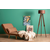 ATELIER DEL SOFA Folde Single Brown