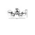 OPVIQ Luster Venus 5 Li Bal Camli Avize
