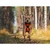 shumee Truelove Front Line S pas za trening psov