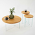 HANAH HOME Set stolova Serenity 2 Oak Transparent