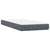Vidaxl Box Spring postelja z vzmetnico Temno siva 80x220 cm Velvet