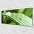 tulup.si Slika na akrilnem steklu Leaf dew drops 125x50 cm 2 obešalnika