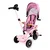 Eco Toys Tricikl za decu sa rotirajućim sedištem, gurajućim rukohvatom i tendom Pink