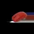 WS GM 5014 GRAPHENE Mouse Red