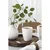 Villeroy & Boch Krožnik za pico Artesano 32 cm (4 kos)