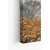Slika Wallity Ersyfdc230, 50x70 cm