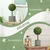 Homestar Set umetnih rastlin 2 kosa 50 cm zelena
