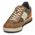 Paul Smith  DOVER  Kostanjeva