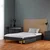 Homestyle4U Oblazinjena postelja, 145x32x210 cm, siva