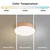 Brilagi - LED prigušiva stropna svetiljka POOL LED/36W/230V prečnik 30 cm bronzana +daljinski upravljač