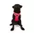 Paws & Whiskers Am za pse Air-Mesh, Roze