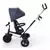 Kinderkraft tricikl aston 2 plus navy blue ( krasto02navpl00 )