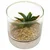 Veštačka Biljka Sukkulentendisplay