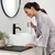 Waterpik WP 490