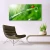 tulup.si Steklena slika Grass pikapolonica narava 140x70 cm 2 obešalnika