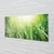 tulup.si Slika na steklu Grass sonce kapljice 120x60 cm 2 obešalnika