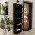 Hanah Home Cipelarnik, 50x169x15 cm, Crni