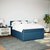 Vidaxl Box spring postelja z vzmetnico modra 160x200 cm žamet
