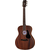 FRAMUS akustična kitara FG-14M NS Legacy Series
