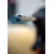 Bosch EXPERT SDS max-8X burgija za udarne bušilice od 22 x 800 x 920 mm 2608900236