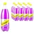 Schweppes Purple 1,25l, 12 komada, XXL