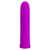 MINI VIBRATOR Pretty Love Curtis Purple