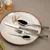 Set jedilnega pribora 24 kosov - Coco - 126604