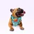 13TH DOG Marama za pse Smiley Bandana M plava