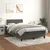 Vidaxl Box spring postelja z vzmetnico temno siv 120x190 cm žamet