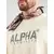 ALPHA INDUSTRIES Majica temno siva/off-bela