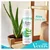 Gillette Venus Satin Care Sensitive Aloe Vera gel za brijanje za žene 200ml