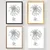 Wallity Poster France Dijon-2078, 21x29,7 cm