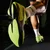Puma Fast-R Nitro Elite 3