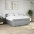 Vidaxl Box spring postelja z vzmetnico svetlo siva 200x200 cm blago