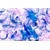 Tapeta čudovita peresca - 441x297