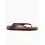 Bayton Japonke Lucca rjava