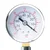 Pump Worx Pumpica Max-Precision