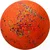 Dog Comets Stardust - Orange - L