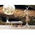 Tapeta prelet jate ptic ob polni luni - 196x270