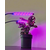 40 LED UV svetilki za rast rastlin 20W
