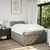 Vidaxl Box spring postelja z vzmetnico taupe 120x190 cm blago