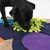 Knauders Best Sniffpad - Flower - 1 k.