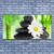 tulup.si Slika na platnu Bamboo daisy flower 125x50 cm