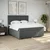Vidaxl Box spring postelja z vzmetnico temno siva 200x200 cm blago