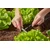 Gardena razdelilna cev 4,6 mm (3/16) 15 m 1350-20