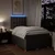Vidaxl Box spring postelja z vzmetnico taupe 120x190 cm blago