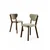 Hanah Home Set stolica Arfe, 101x76x26 cm, 4 komada, Svetlozelene