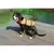Pes Plavalec plavalni jopič za psa oranžna oblačila velikost XL
