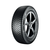 Continental All Season guma 175/65R15 88T XL AllSeasonContact