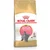 Royal Canin British Shorthair Kitten 2 kg